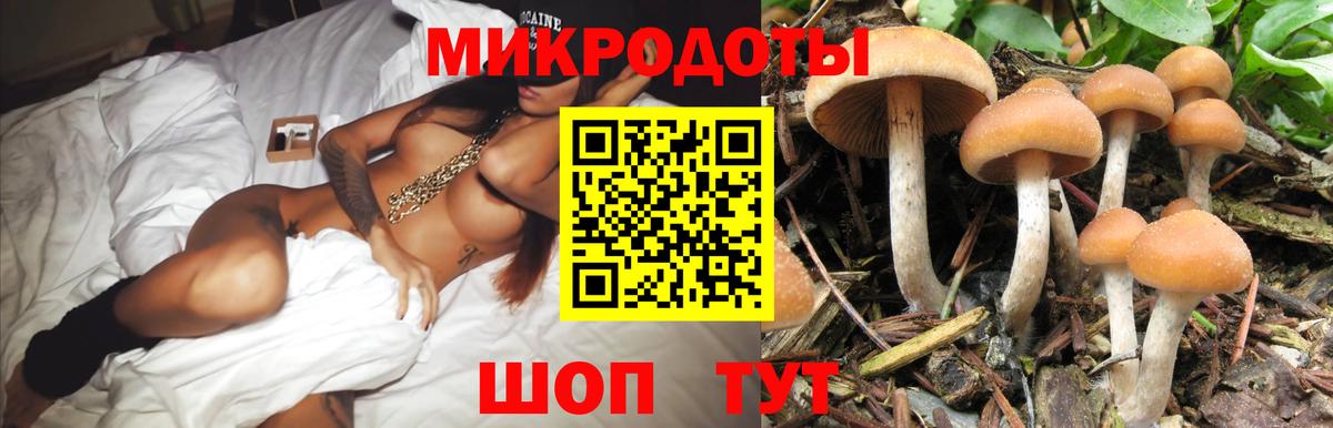 Воркута  Галлюциногенные грибы Psilocybine cubensis  Вход с VPN  Псилоцибиновые грибы мухоморы 